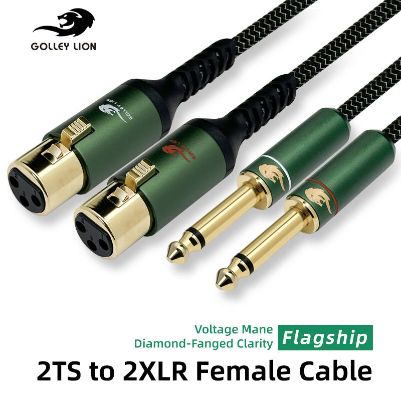 GOLLEY LION HIFI 2x6,35mm TS a – Braided Line Bewertung und Preis